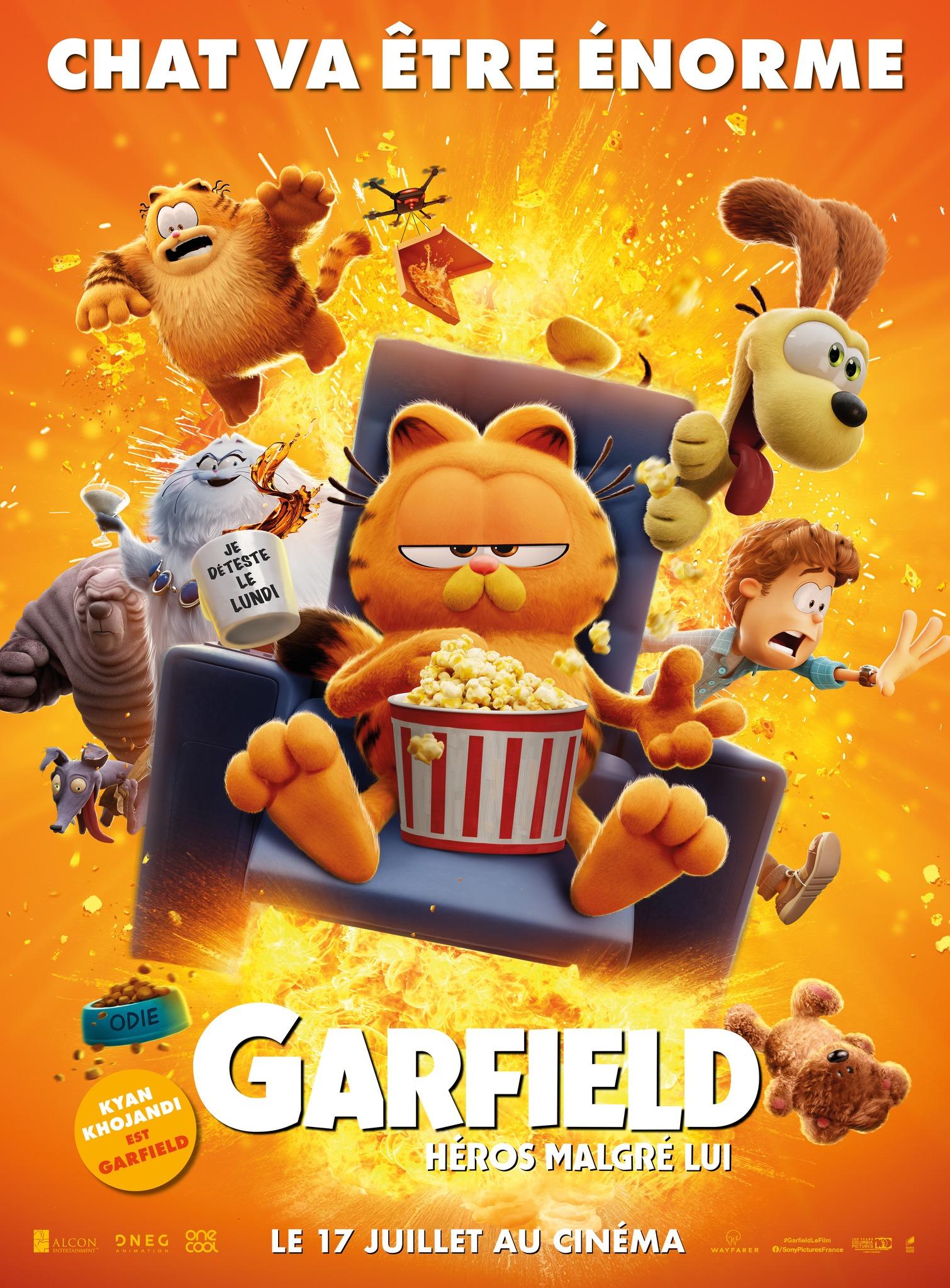 Affiche film Garfield : Héros malgré lui