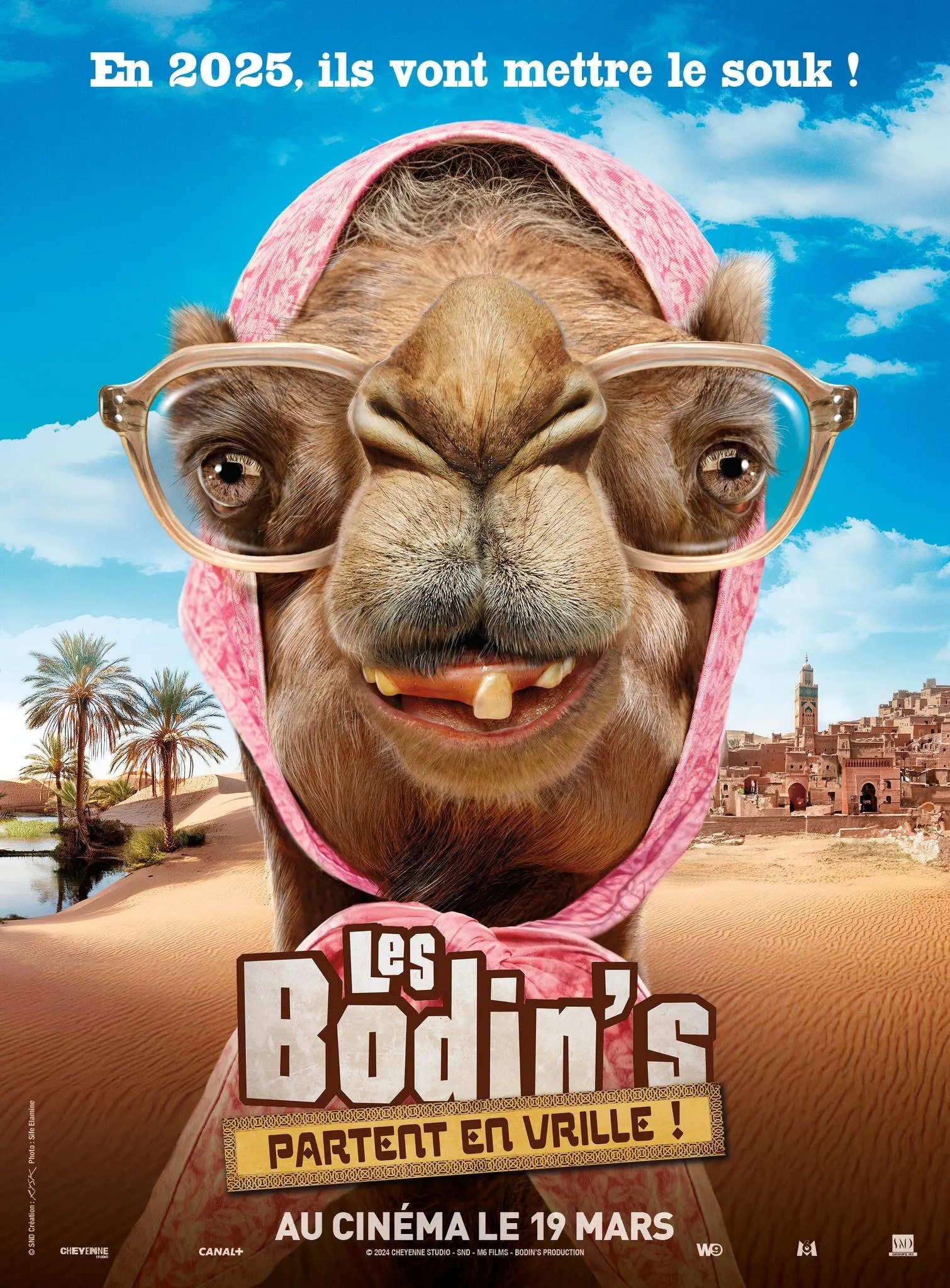 Affiche film Les Bodin’s partent en vrille